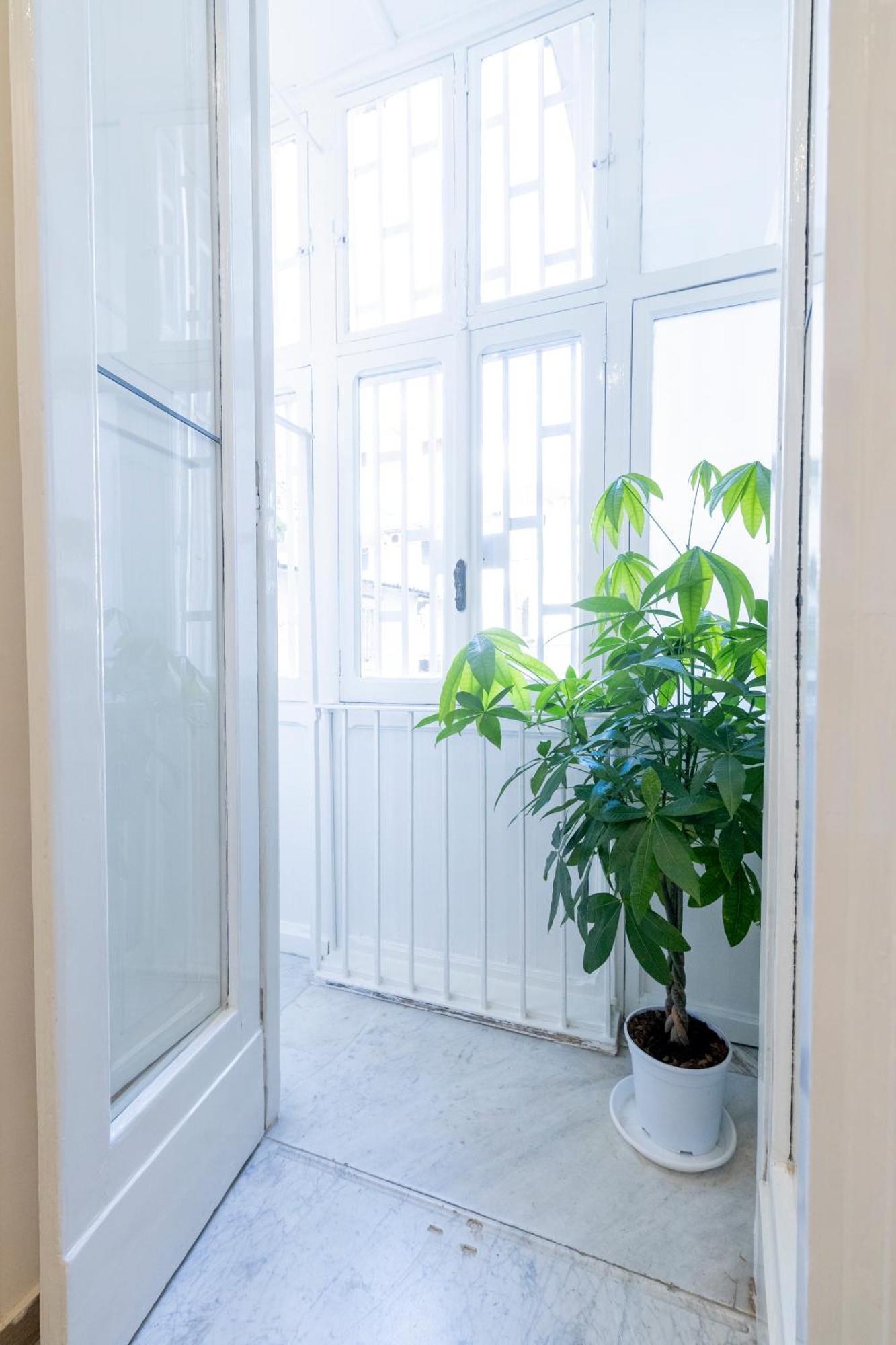 Casa Pontecorvo 05 Appartamento Napoli